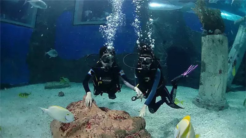 潜水体验:探索深海的奇妙之旅